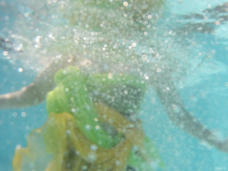 4_sirene-stefania_ophiel