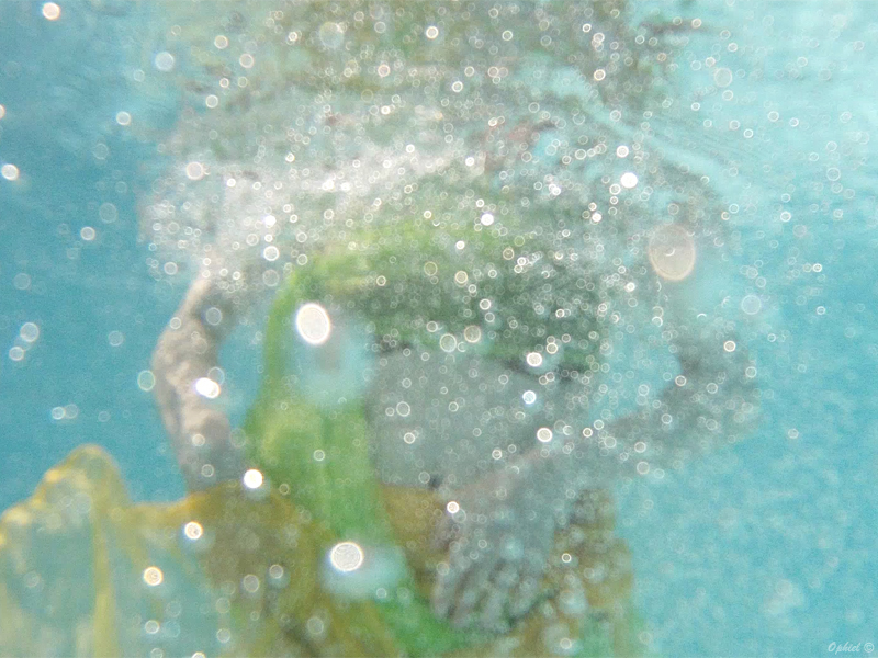 2_sirene-stefania_ophiel