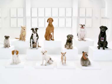 dogssingstarwars